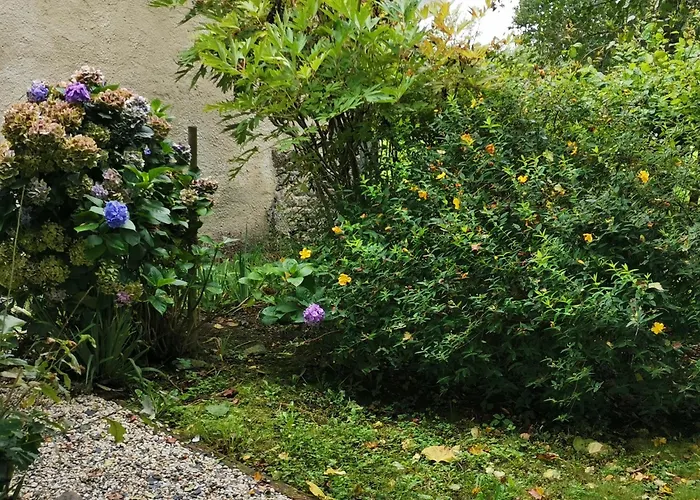 Les Brassins Du Dillon