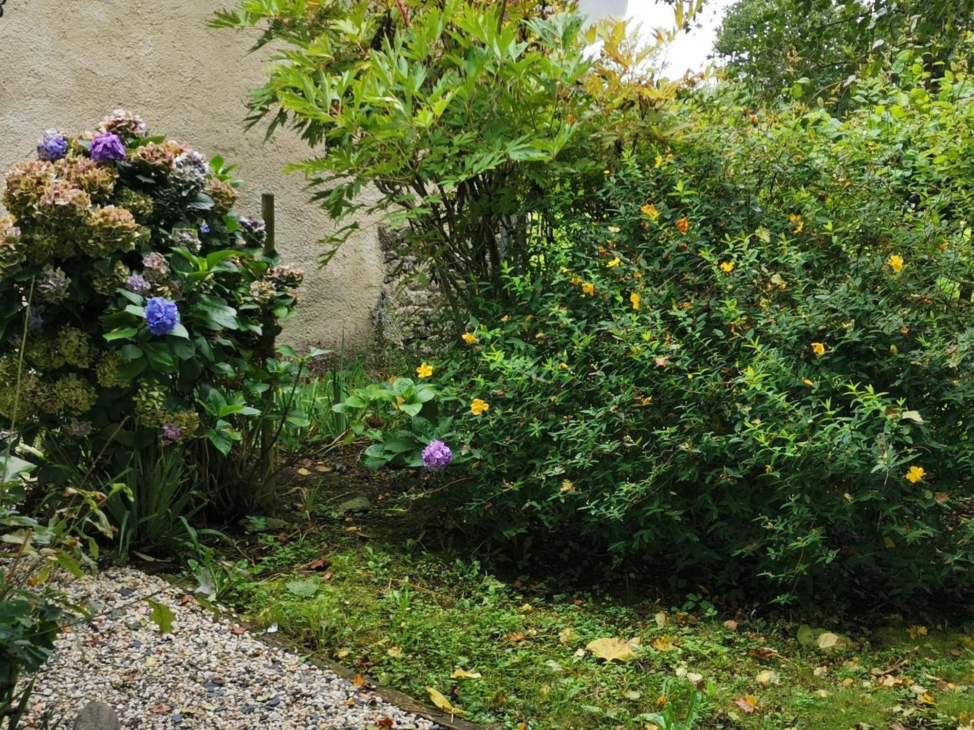 Les Brassins Du Dillon Holiday home Moyon